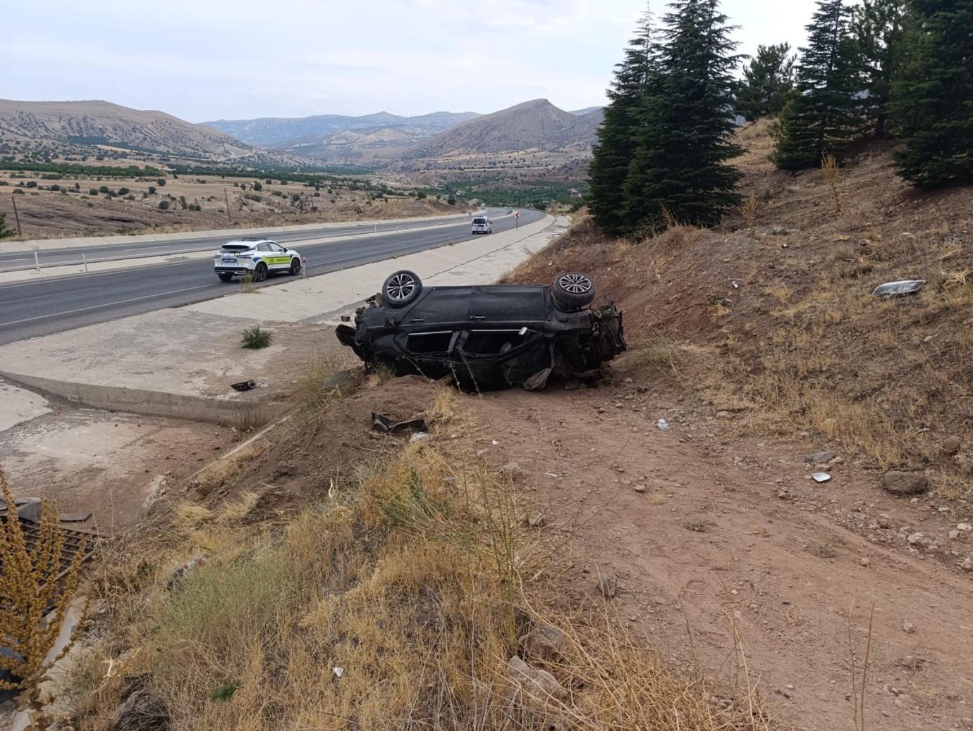 Malatya’da Otomobil Su Kanalına Girip Ağaca Çarptı: 1 Yaralı