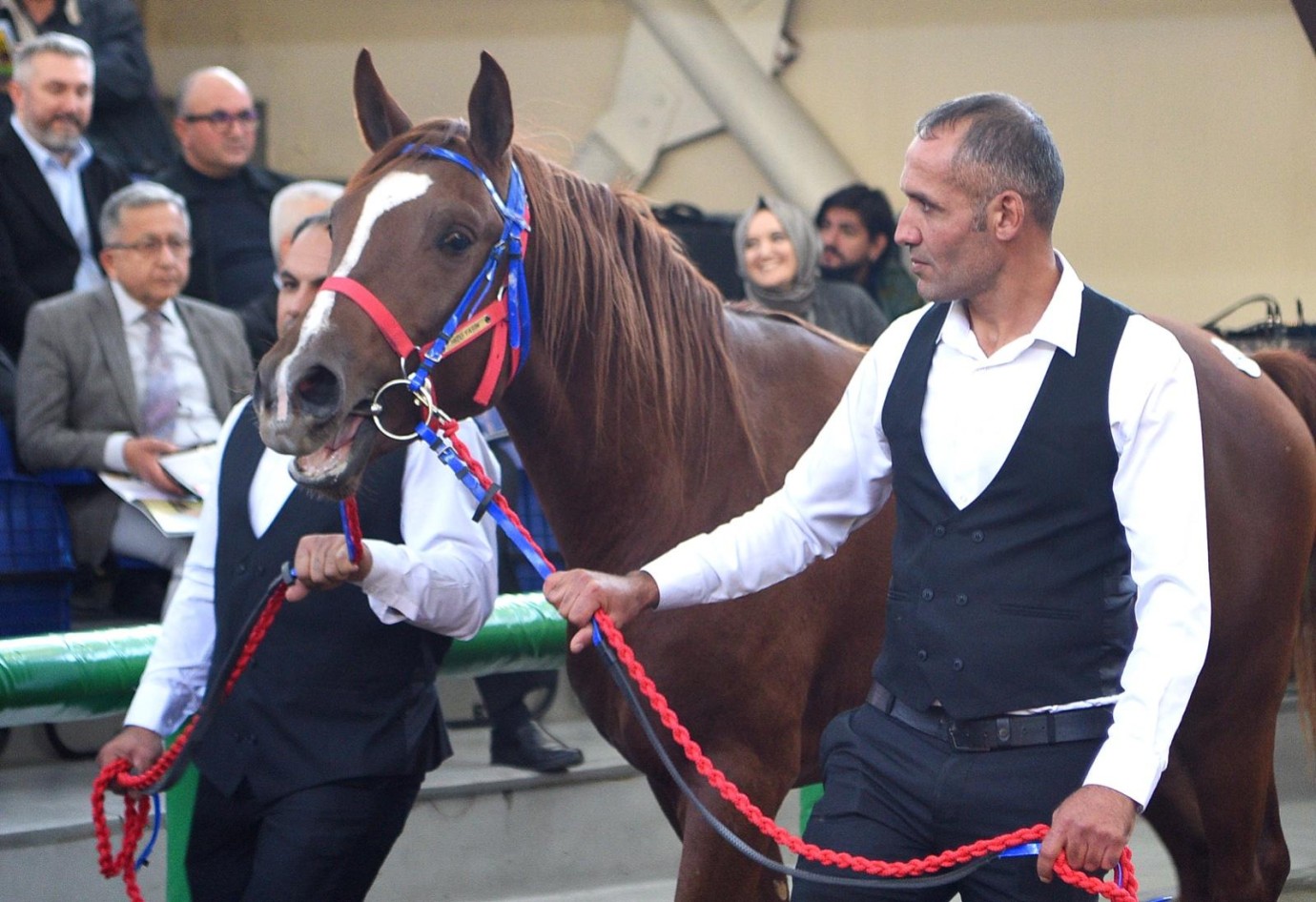 Cumhuriyet Tarihinin Rekoru: Sultan Suyu’nun “Hızlı Yasin”i 10,5 Milyon Liraya Satıldı