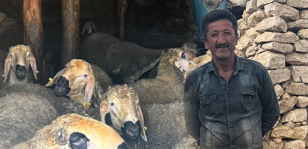 Küçükbaş Hayvan Yetiştiricisi Zor Durumda