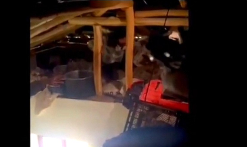 Kovancılar’da 13 Yıldır Aranan Hükümlü Gizli Bölmede Yakalandı