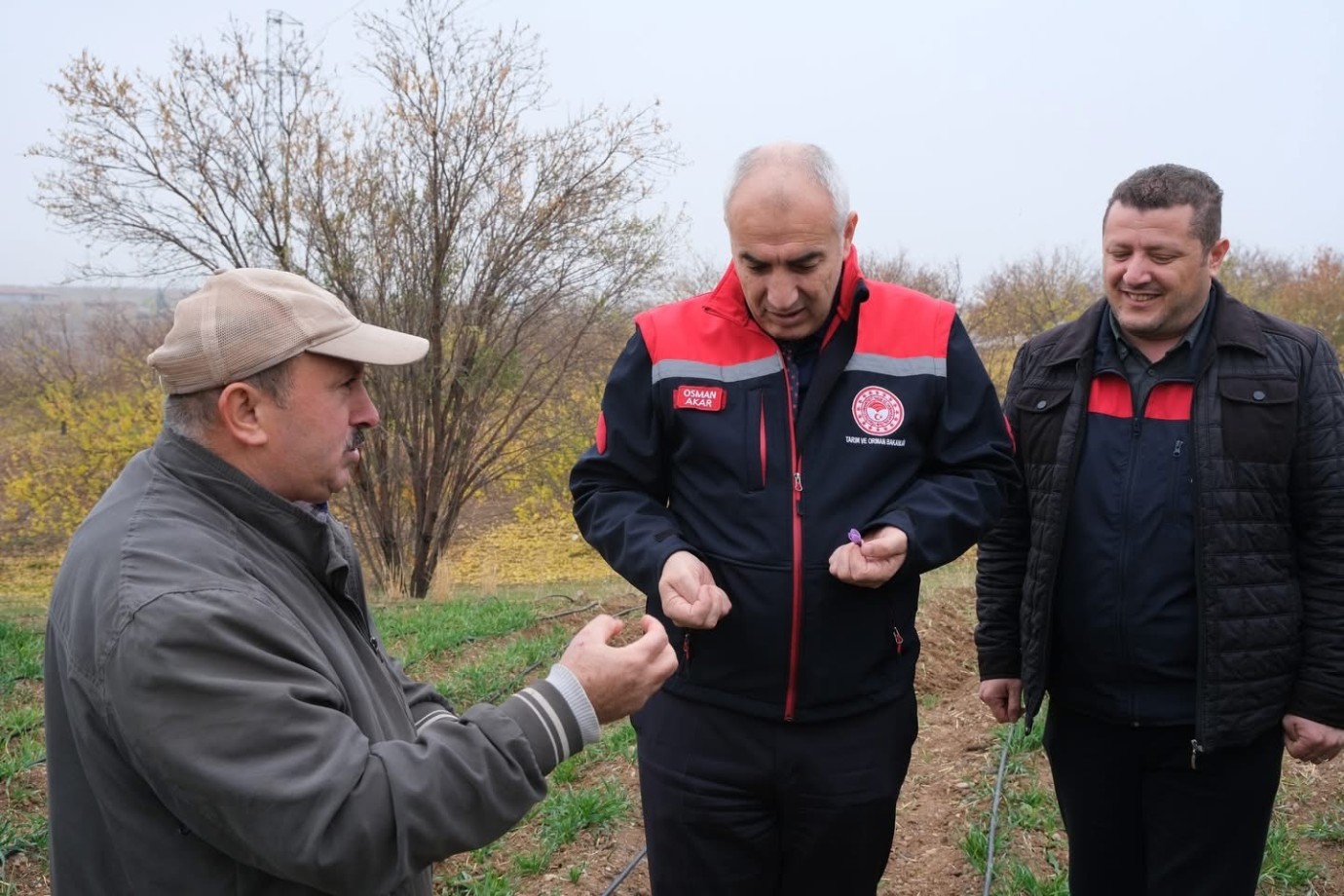 Malatya’da Safran Üretiminde Örnek Başarı: Dekarda 900 Gram Verim