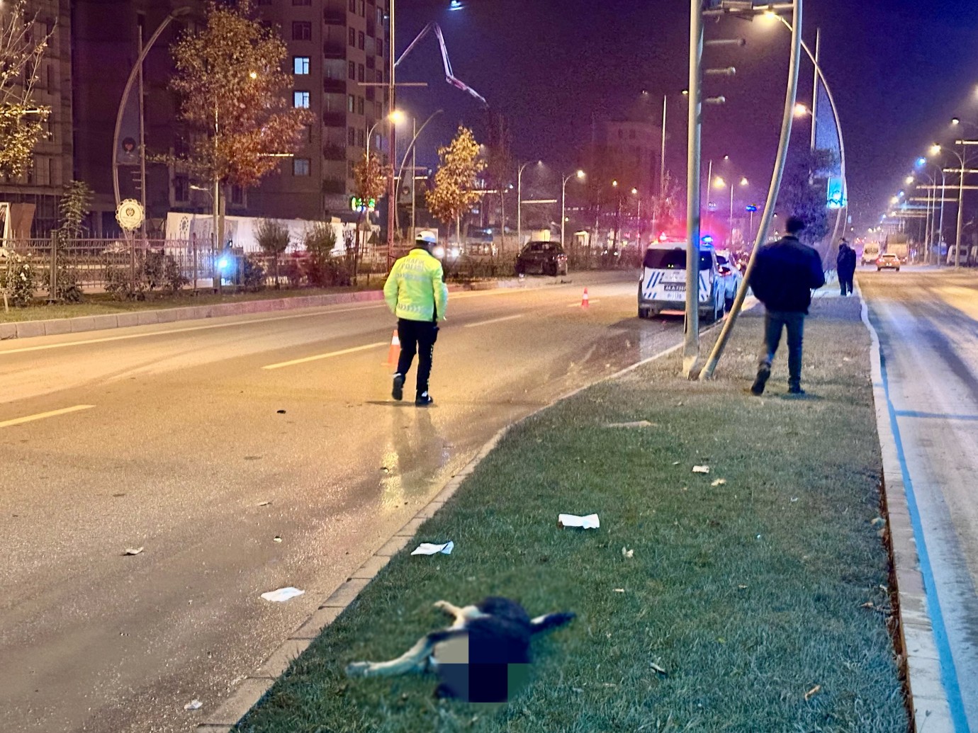 Malatya’da Köpeğe Çarpan Otomobil Refüje Çarptı: Sürücü Yaralandı