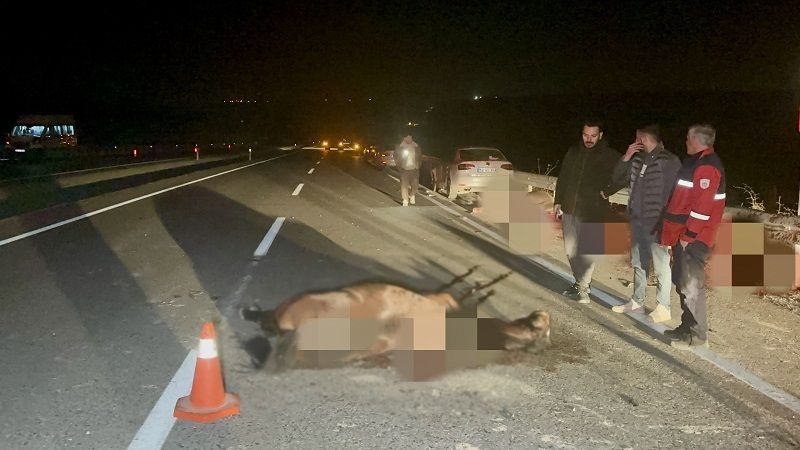 Sultansuyu’nda Skandalın Bedeli: Müdür Ve 2 İşçi Görevden Alındı