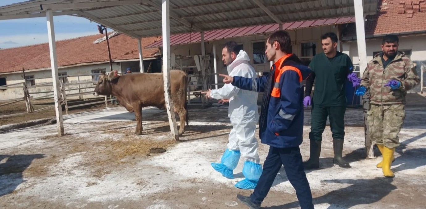 TİGEM Sultansuyu İşletmesi’nde Şap Hastalığı Alarmı!