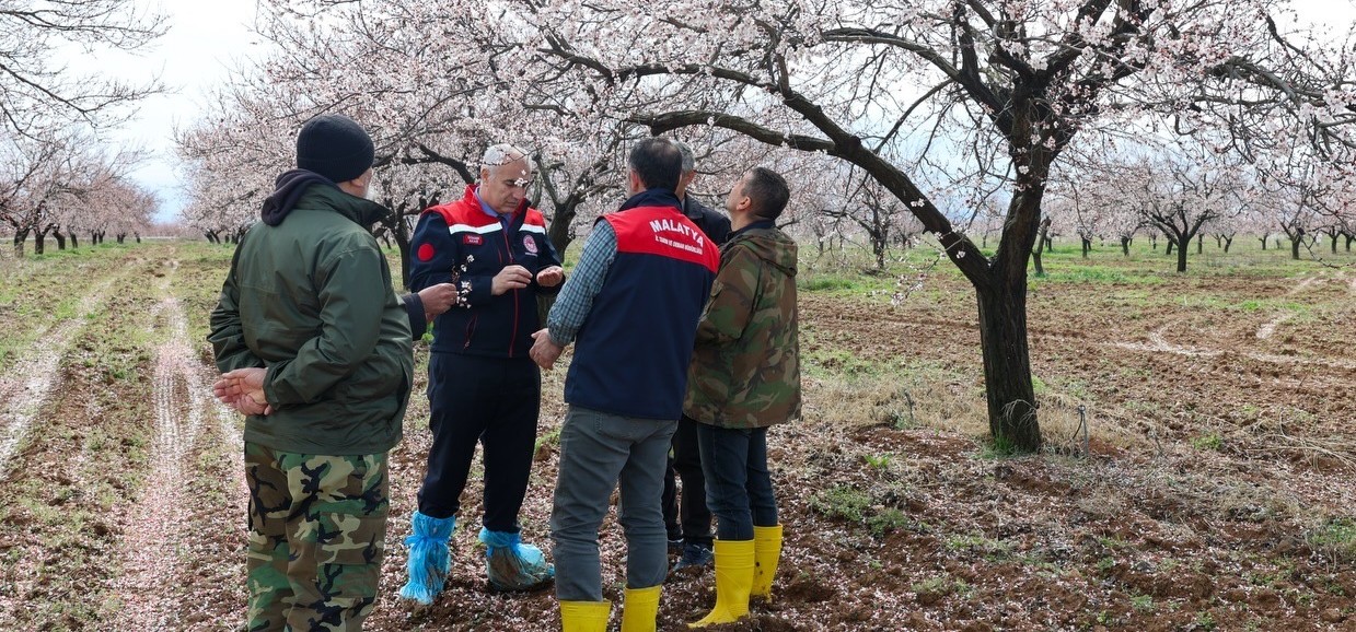 Doludan Önemli Bir Zarar Bulunamadı