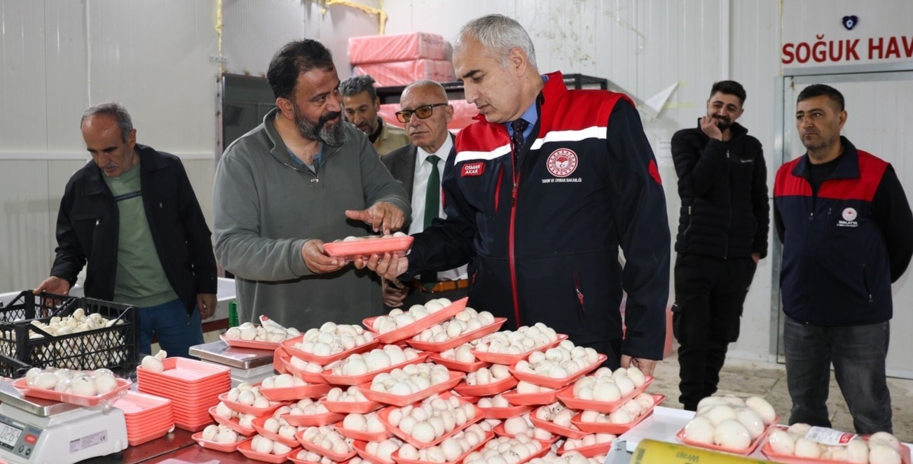 Malatya’da Mantar Üretimine İlgi Artıyor !