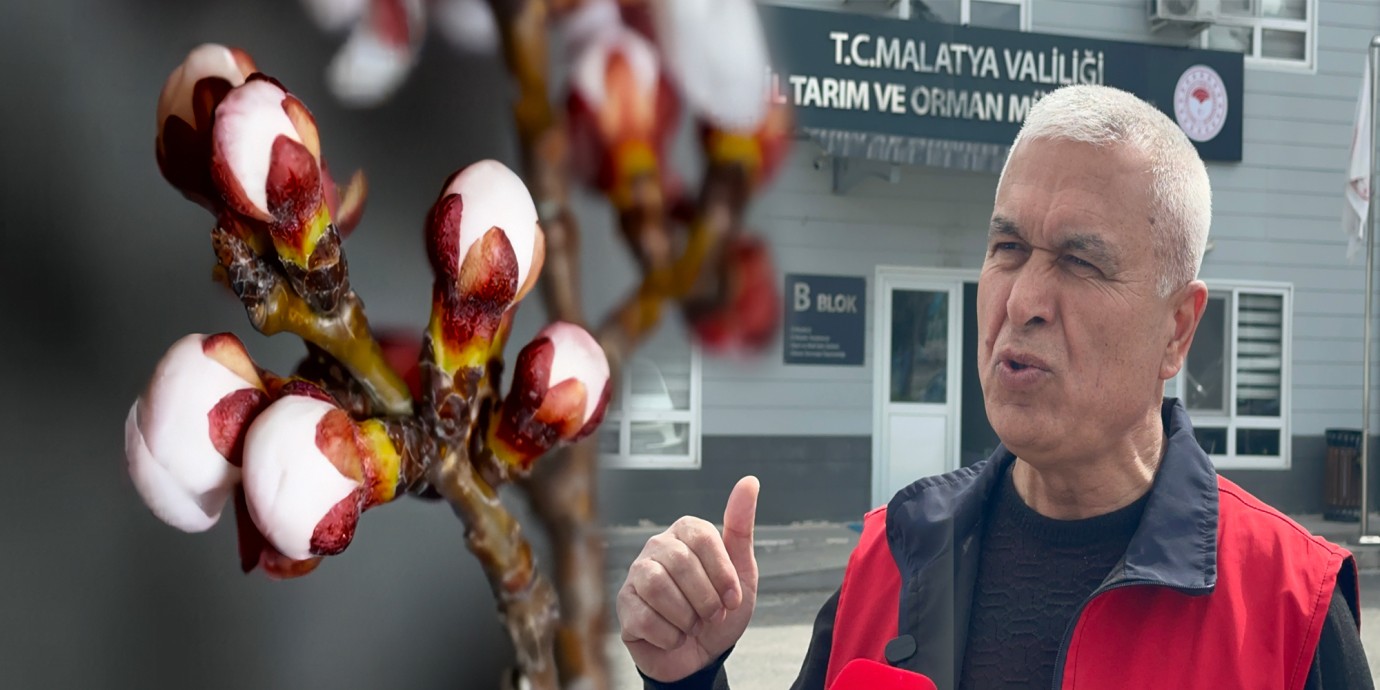 Kayısı da Zirai Don Riski Sürüyor mu?