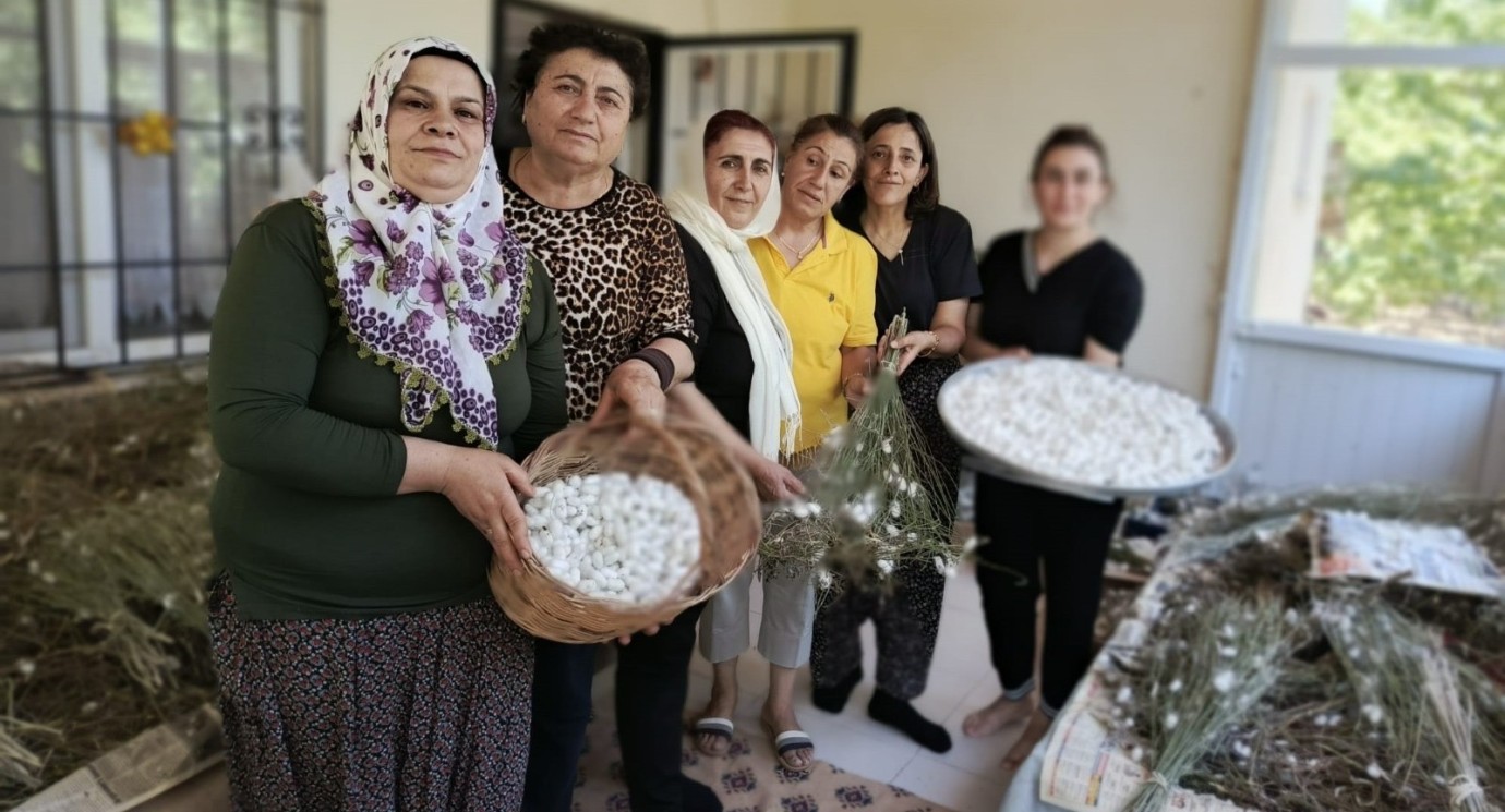 Hekimhanlı Kadınlar İpek Böceği Yetiştiriciliğine Yöneliyor