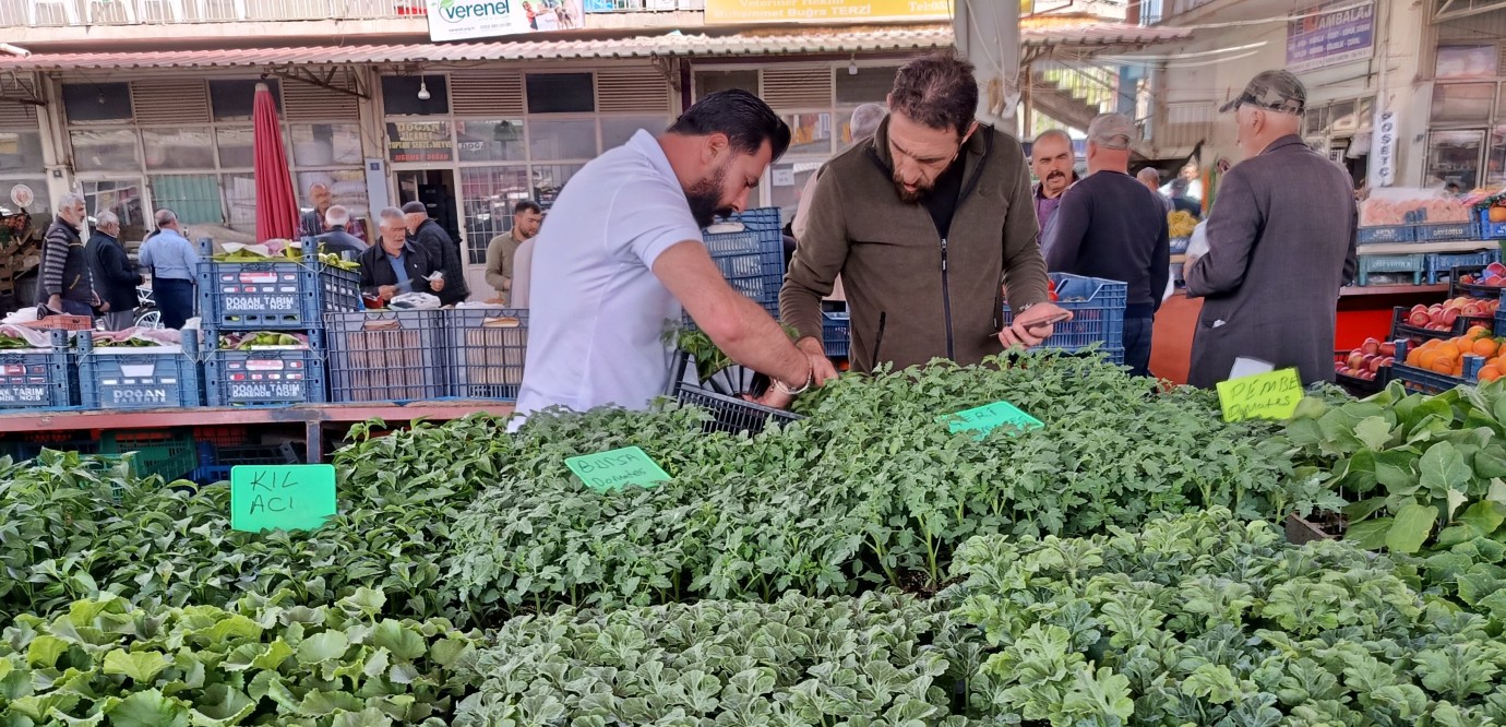 Fiyatlar Artınca Vatandaş Fideliğe Koştu