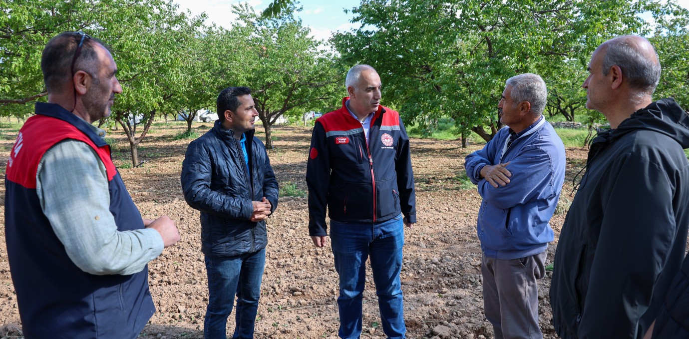 Kayısı Bahçelerinde Hasar Tespiti Başlatıldı