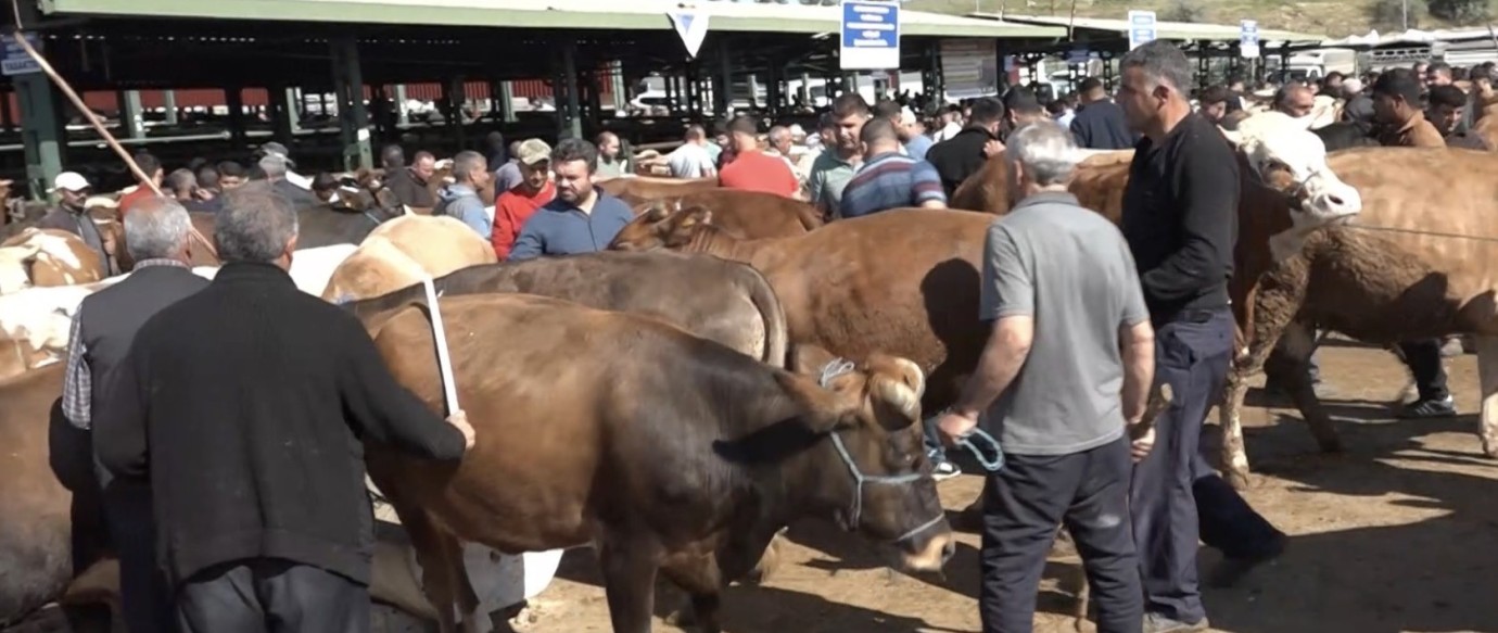Malatya’da Kurban Pazarı Hareketli, Satışlar Durgun