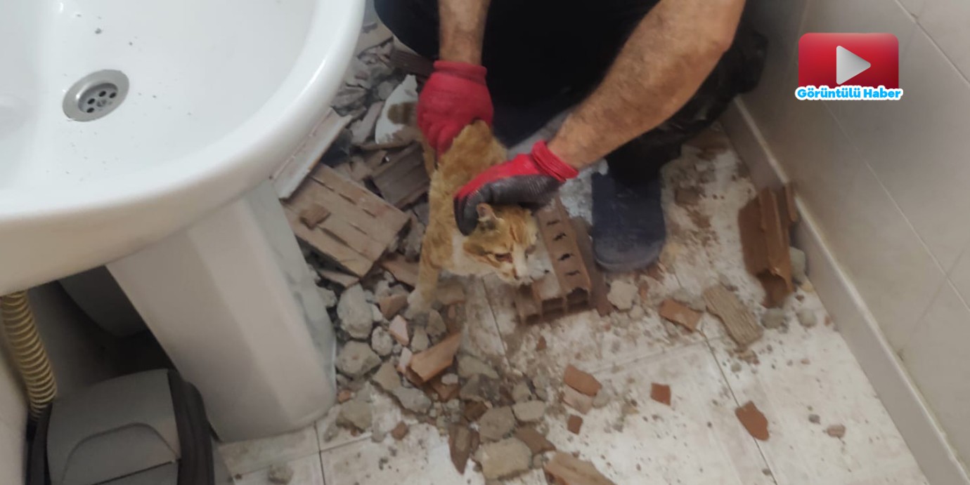 İki Bina Arasına Sıkışan Kediyi İtfaiye Ekipleri Kurtardı!