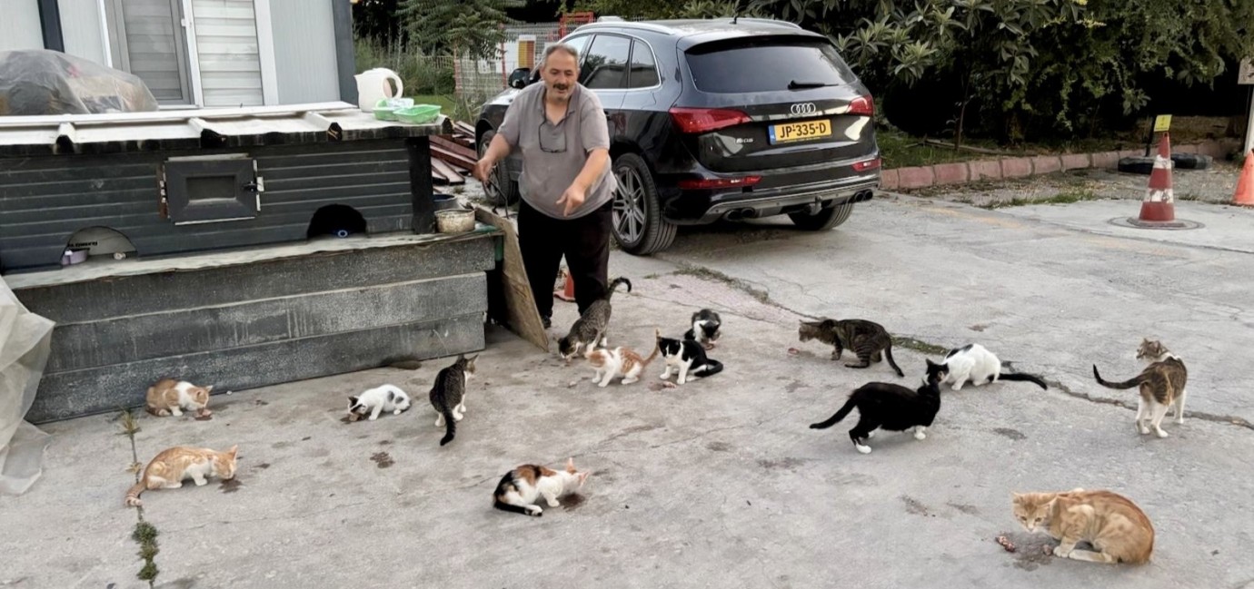 Sokak Kedilerini Kendi Elleriyle Besliyor